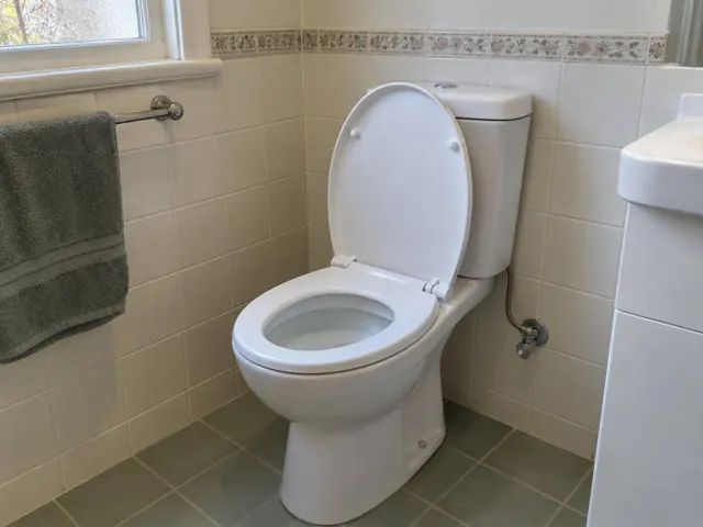 Clean white toilet in a tiled bathroom beside a towel rail and vanity in Enfield